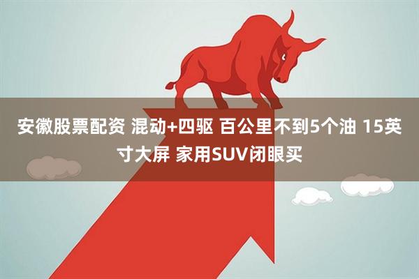 安徽股票配资 混动+四驱 百公里不到5个油 15英寸大屏 家用SUV闭眼买